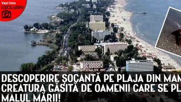 Descoperire socanta pe plaja din Mamaia. Ce au gasit oamenii care se plimbau pe malul marii.