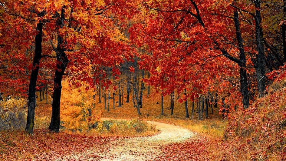 Prognoza meteo 17 septembrie: Scăpăm de ploi! Vreme frumoasă în majoritatea țării