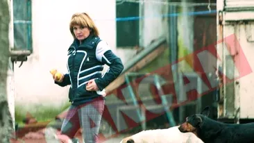 Si-a vizitat calul de 1 Decembrie