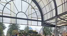 Galerie foto - poza 1