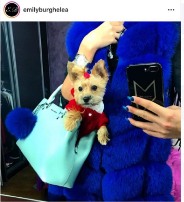 Geanta lui Emily Burghelea cu care se laudă Vulpița pe TikTok