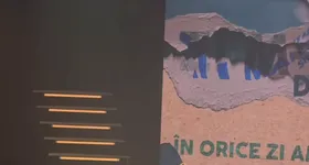 Galerie foto - poza 2