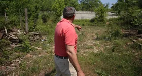 Galerie foto - poza 4