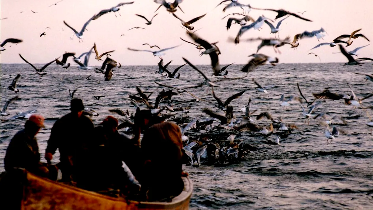 Delta Dunării: între gheață și speranță. Douăzeci de ani de supraviețuire la capătul hărții