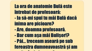 BANC | Profesoara de anatomie îl întreabă pe Bulă: "Inima are picioare?"