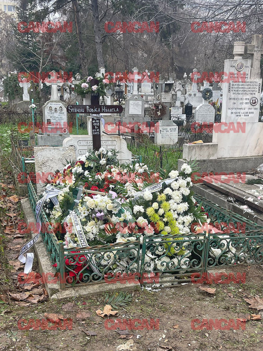 Rodica Stănoiu a fost deshumată în această dimineață! Procurorii și INML intră în acțiune după șocantele dezvăluiri din presă