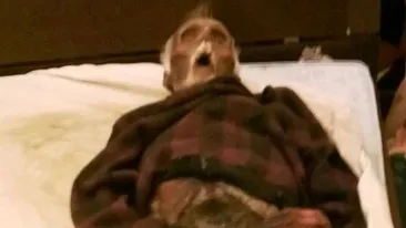 Imagini SOCANTE! O femeie a dormit un an cu cadavrul in putrefactie al sotului ei! Politia a avut un soc când a intrat in casă