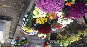 Galerie foto - poza 2