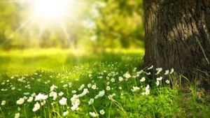 Prognoza meteo pentru următoarele patru săptămâni. Ce temperaturi vor fi în perioada 3 – 31 mai