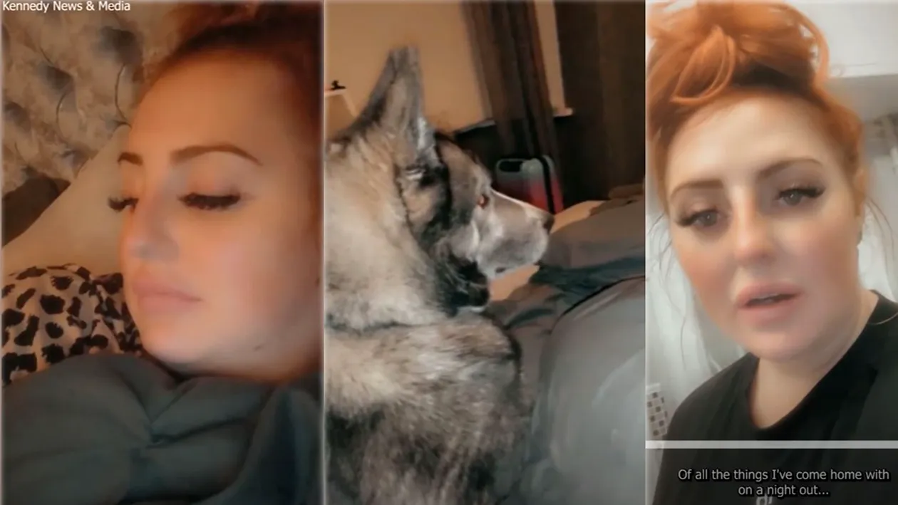 O femeie a trăit un șoc puternic după ce s-a trezit dintr-o mare beție: în patul ei se afla un Husky pe care l-a confundat cu un lup