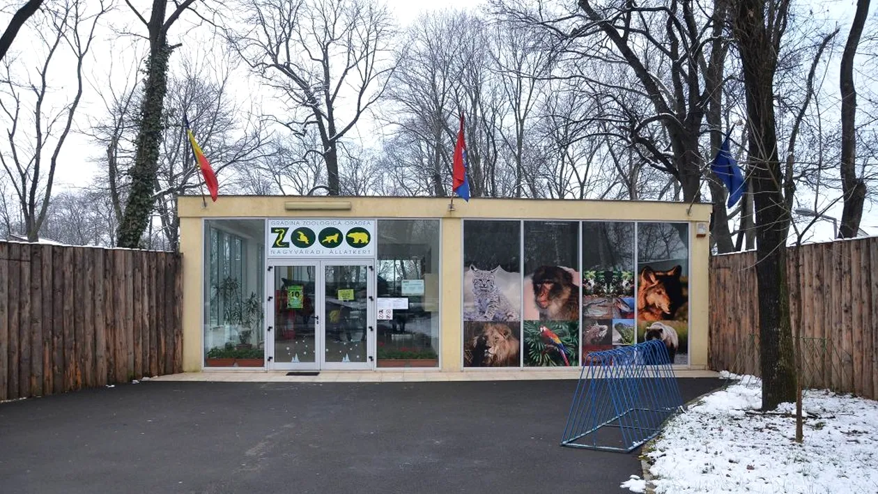Incredibil! O mămică cu trei copii şi o americancă, închişi din greșeală în Grădina Zoologică din Oradea