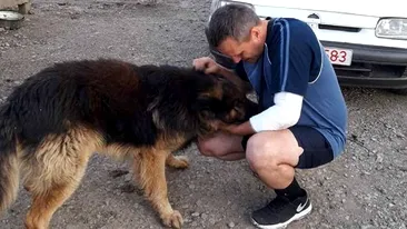 IMAGINI EMOŢIONANTE. Pompierul-erou din Bihor s-a reîntâlnit cu câinele pe care l-a salvat din foc