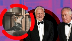 Noua cățelușă a Reginei Camilla a devenit vedetă într-un mesaj special transmis de Charles pentru David Attenborough