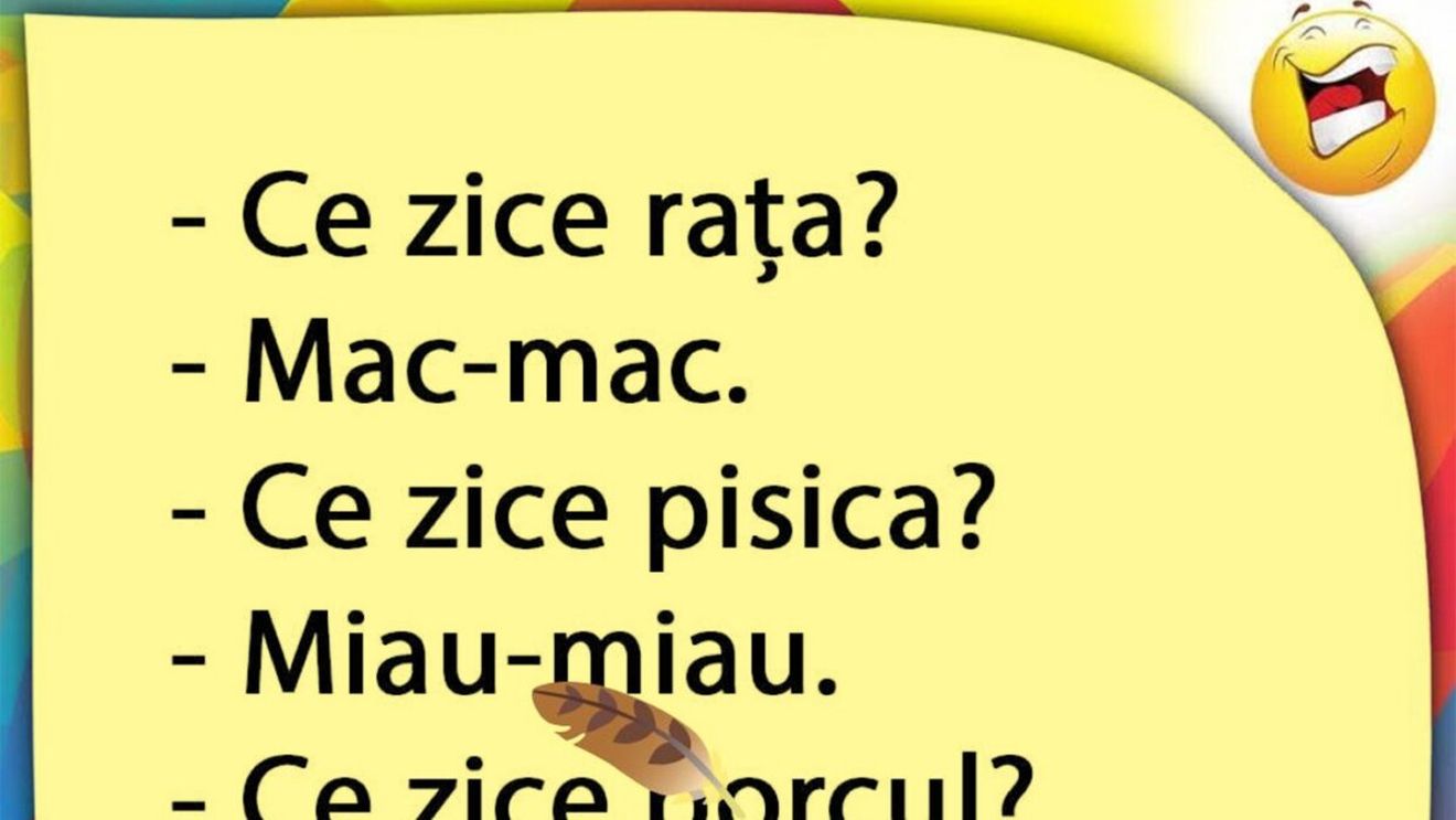 BANCUL ZILEI | Rața, pisica și porcul