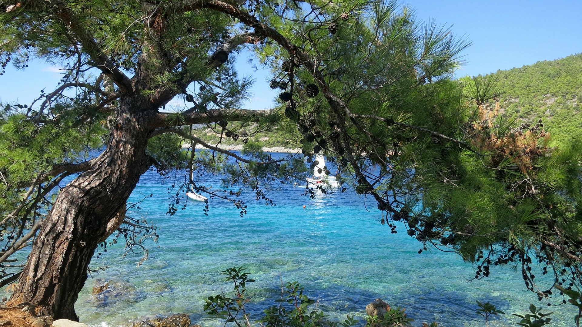Cât costă o noapte la un hotel din Bodrum, Turcia? Stațiunea preferată a Biancăi Drăgușanu are prețuri uriașe