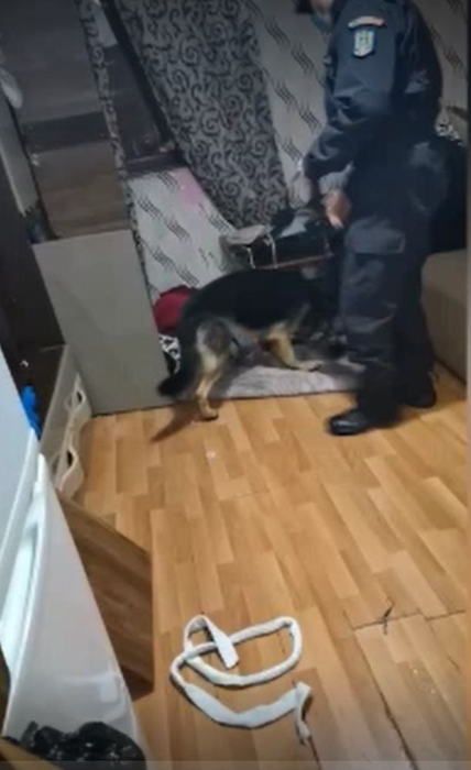 Clanul Toporaru din București a fost anihilat. Liderul și fiii săi au fost încătușați în urma unor percheziții care au fost filmate | FOTO