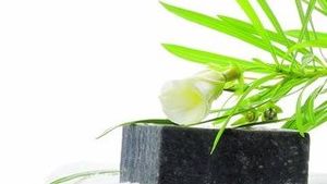 Beneficiile sapunului negru