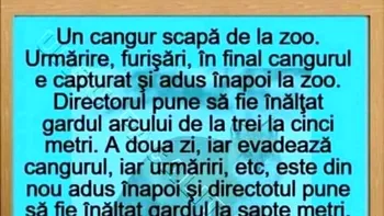 BANCUL ZILEI | Un cangur scapă de la zoo