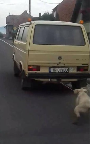 Halucinant! Cine este bărbatul din Harghita care a legat câinele de mașină și l-a târât pe șosea