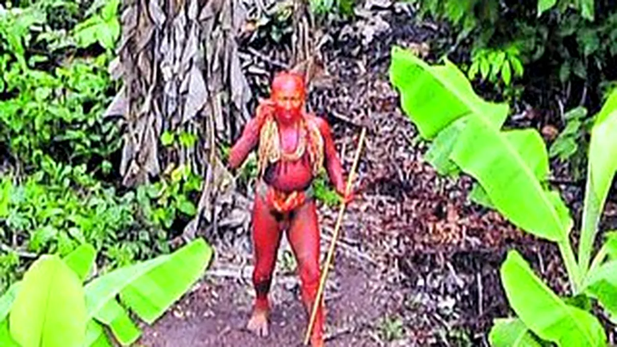 Traficantii de droguri au determinat disparitia unui trib din Amazon, descoperit recent in Brazilia