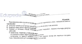 Galerie foto - poza 3