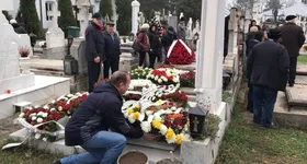 Galerie foto - poza 4