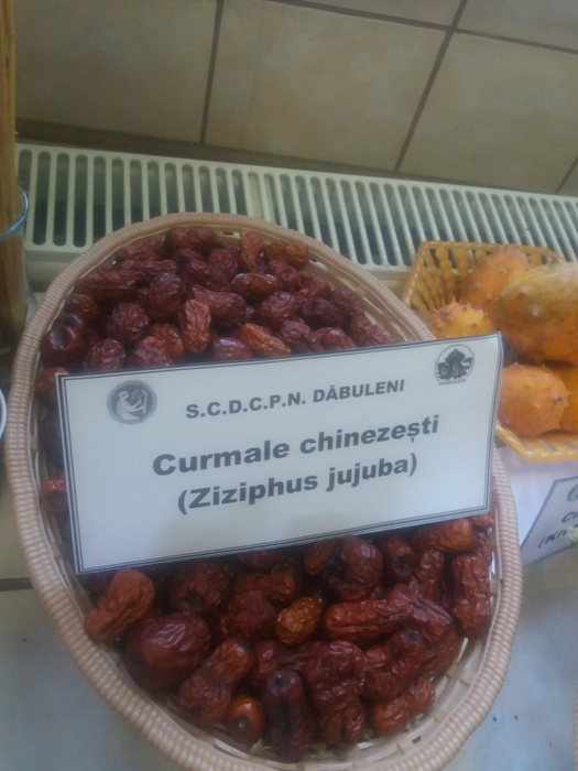 Cercetătorii au apelat la culturi exotice pentru a valorifica solul nisipos din zonă