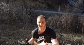 Galerie foto - poza 2