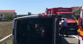 Galerie foto - poza 1