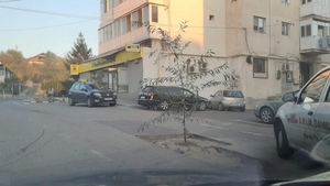 De-a râsu'-plânsu'! A plantat un copac în groapa în care și-a stricat mașina: ”Dacă l-au plantat, să-l ude”