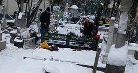 Galerie foto - poza 1