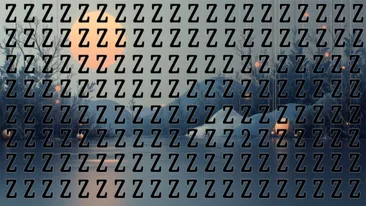 Test de logică | Găsiți singura cifră 2 pierdută printre literele Z din imagine