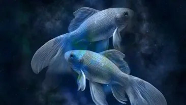Horoscop zilnic: Horoscopul zilei de 29 octombrie 2018. Peștii trăiesc emoții intense