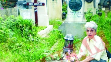 I-au taiat cu flexul statuia funerara