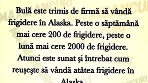 BANC | Bulă este trimis de firmă să vândă frigidere în Alaska