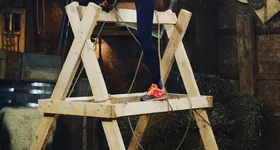 Galerie foto - poza 2