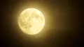LUNĂ PLINĂ în Vărsător, pe 9 august 2025. Ce zodii vor avea noroc în dragoste?