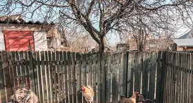 Galerie foto - poza 4