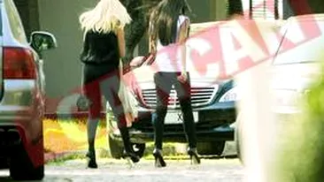 S-au reconciliat Elenele lui Basescu