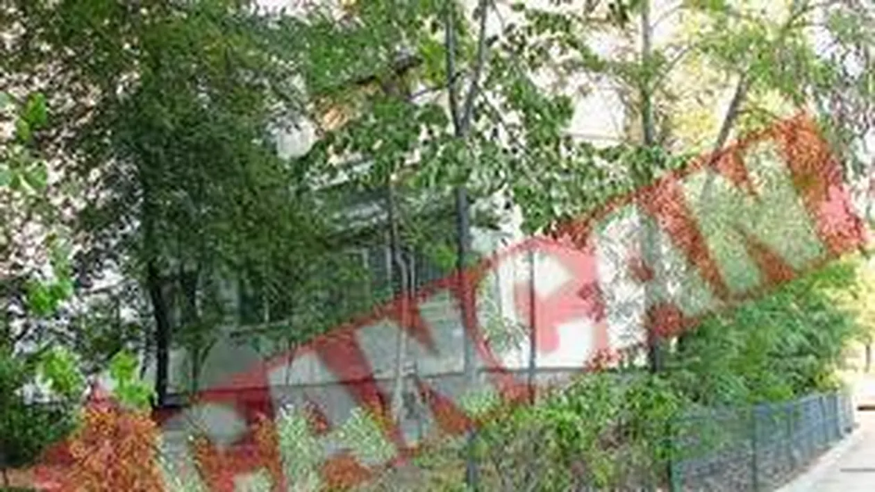 Copaci sacrificati de Primaria Sectorului 3 pentru parcari