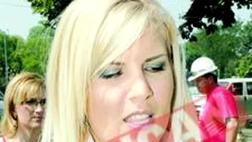 Elena Udrea crede In blocarea uninominalului
