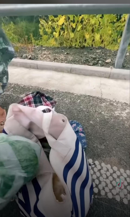 Culiță Sterp, așa cum rar se lasă văzut. Ce a făcut cântărețul în momentul în care a întâlnit o bătrână pe stradă