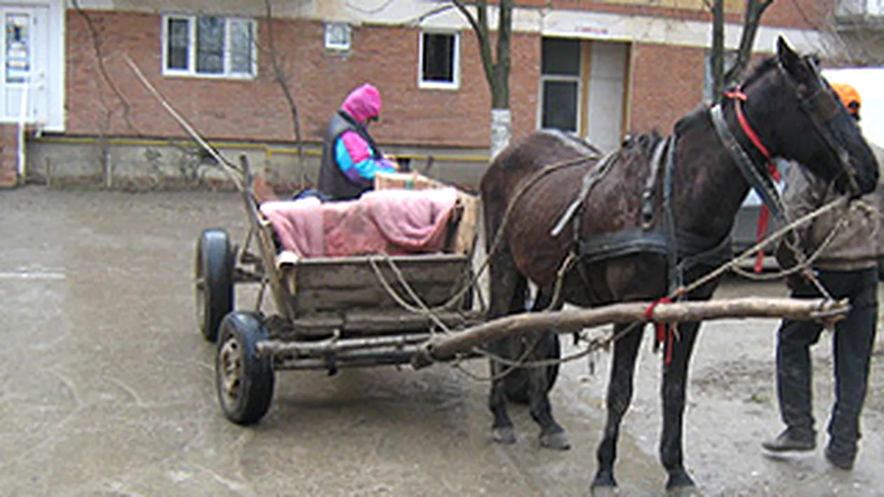 O batrana beata a bagat in spital o fetita de sase ani