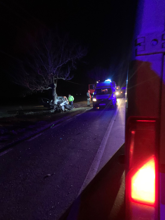 Accident cumplit pe DN41! Un tânăr de doar 27 de ani și-a pierdut viața, după ce a intrat cu mașina în copac