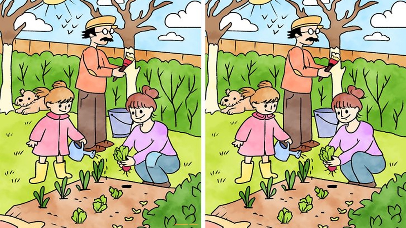 Test de perspicacitate | Câte diferențe sunt între cele 2 poze? Doar geniile le văd pe toate în maximum 30 de secunde