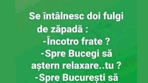 Bancul de vineri | Se întâlnesc doi fulgi de zăpadă: "Încotro, frate?"