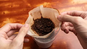 Ce poți face cu zațul de cafea vechi. Trucuri utile pentru casă și grădină