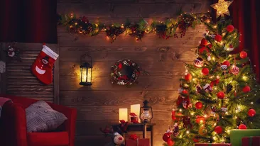 Povestea bradului de Crăciun