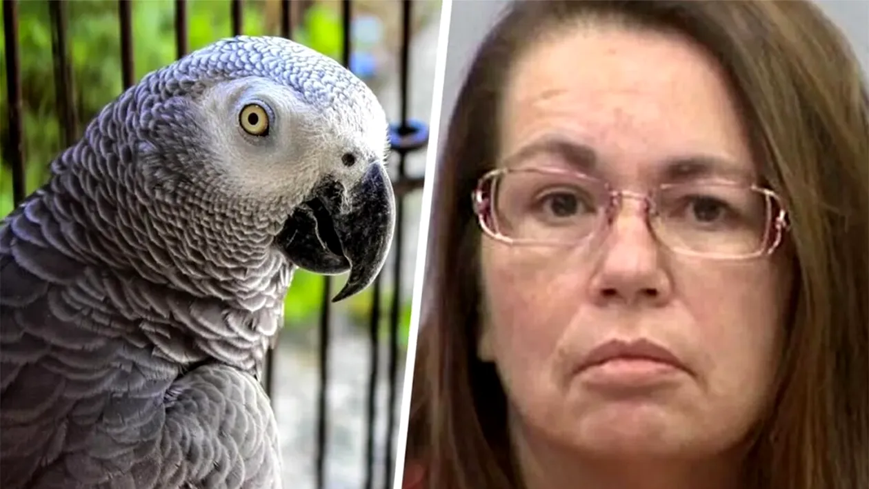 Această femeie a fost dată de gol că și-a ucis soțul, după ce papagalul familiei a rostit ultimele lui 6 cuvinte. Care sunt acestea