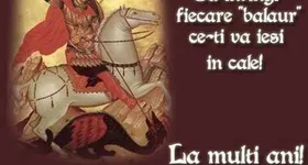 Galerie foto - poza 2